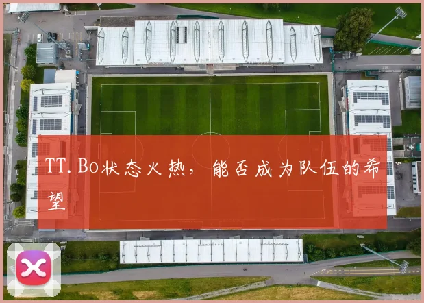 TT.Bo状态火热，能否成为队伍的希望