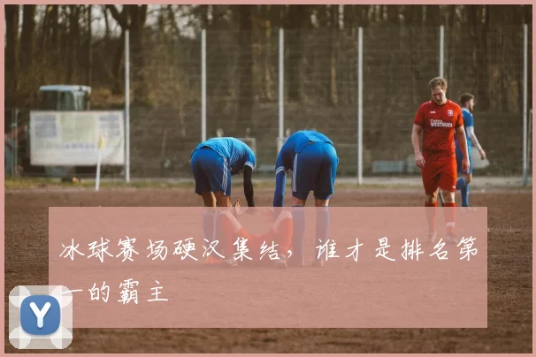 冰球赛场硬汉集结，谁才是排名第一的霸主