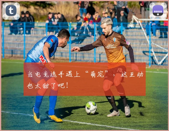 当电竞选手遇上“萌宠”，这互动也太甜了吧！